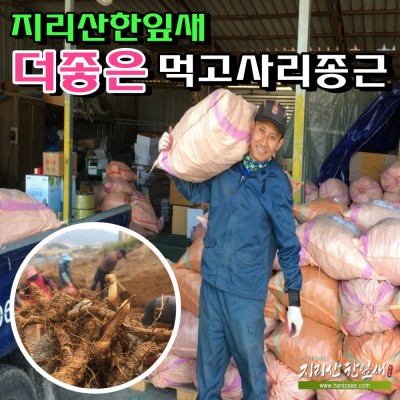 [무료배송]한잎새 먹 고사리재배 20kg